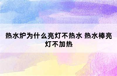 热水炉为什么亮灯不热水 热水棒亮灯不加热